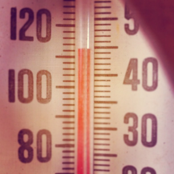 Improving commercial refrigeration in the summer with Moffat